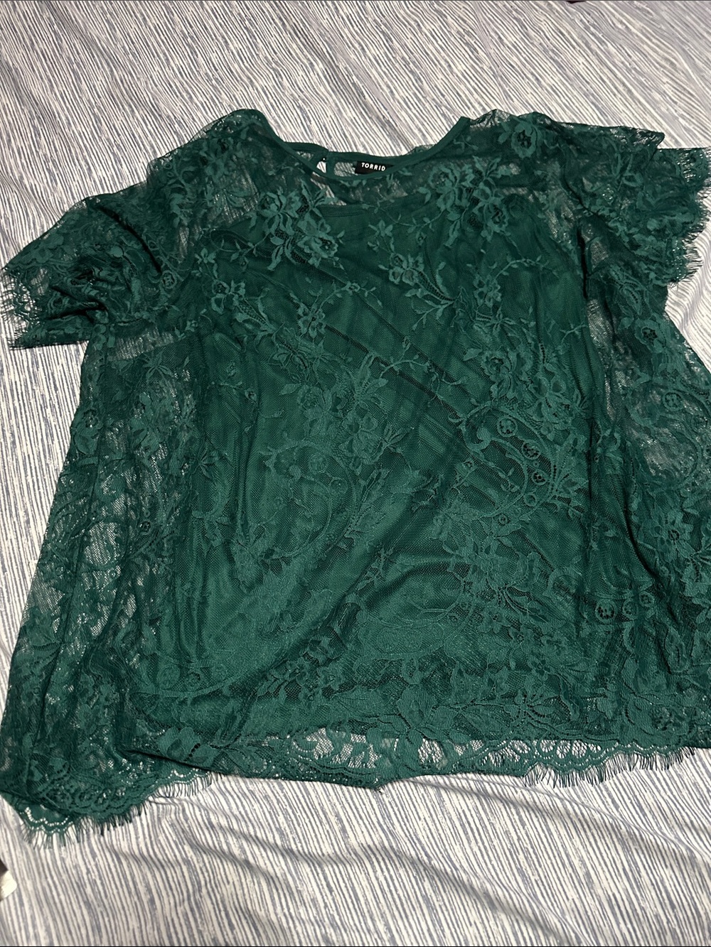 Torrid - Picture 1 of 4
